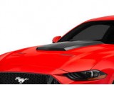 Hood Scoop